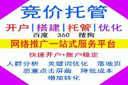 SEM推广实战：案例分析及效果评估